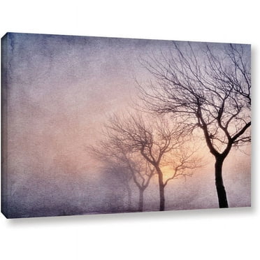 ArtWall Cora Niele "Early Morning" Gallery-Wrapped Canvas