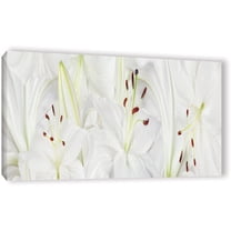 ArtWall Cora Niele "Lily Landscape" Gallery-Wrapped Canvas