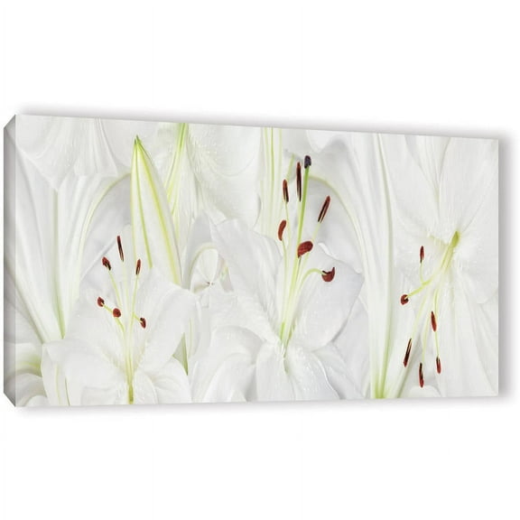 ArtWall Cora Niele "Lily Landscape" Gallery-Wrapped Canvas