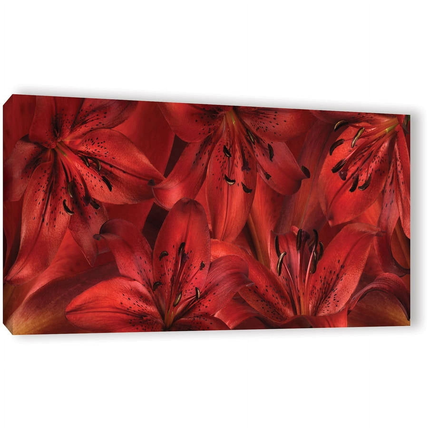 ArtWall Cora Niele "Lily Landscape Red" Gallery-Wrapped Canvas