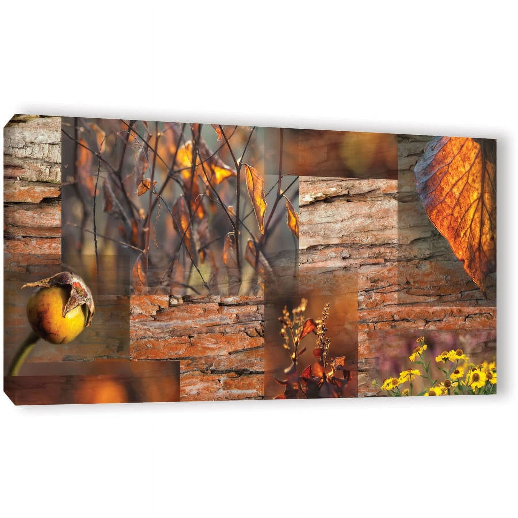 ArtWall Cora Niele "October Light" Gallery-Wrapped Canvas