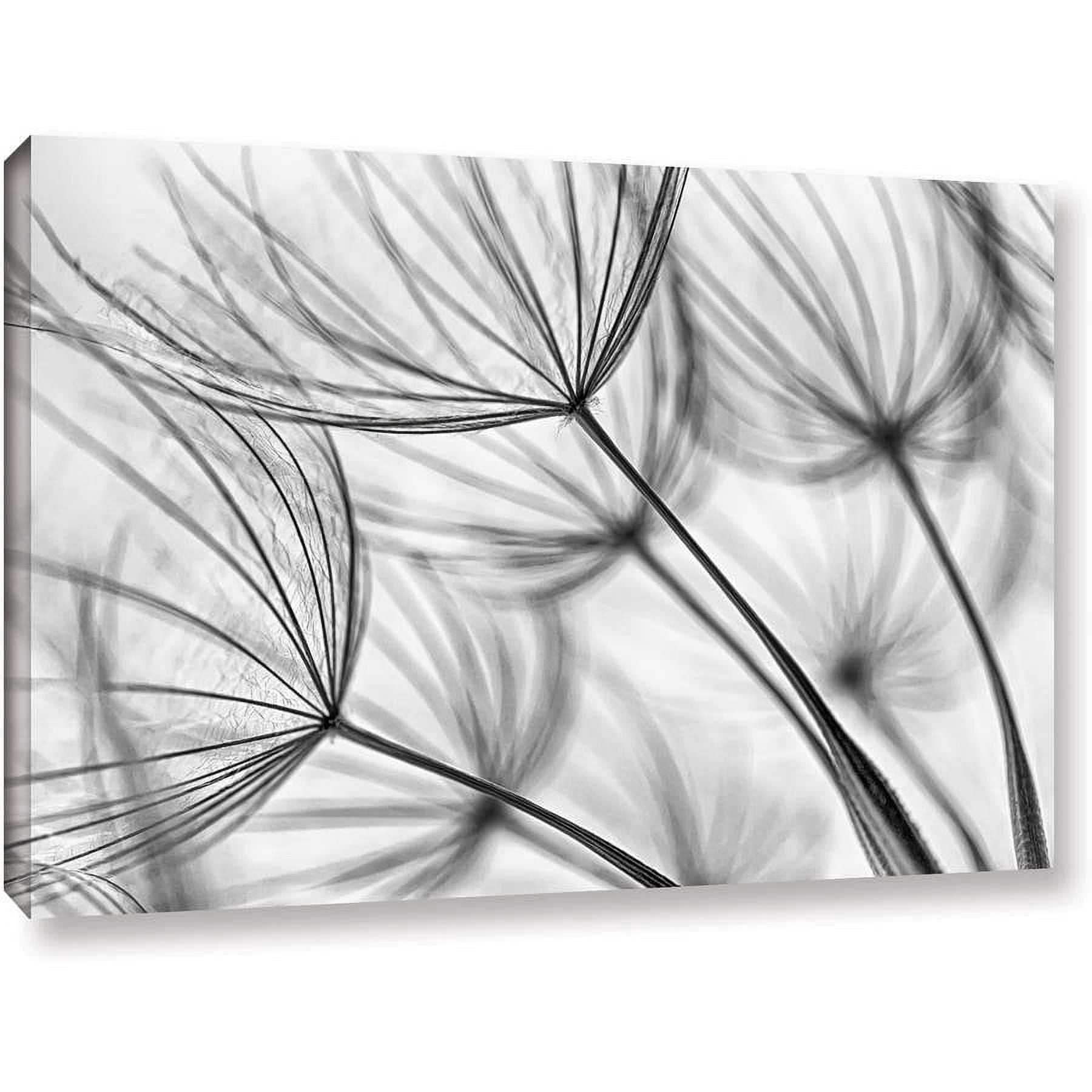 ArtWall Cora Niele "Parachute Seed I" Gallery-Wrapped Canvas