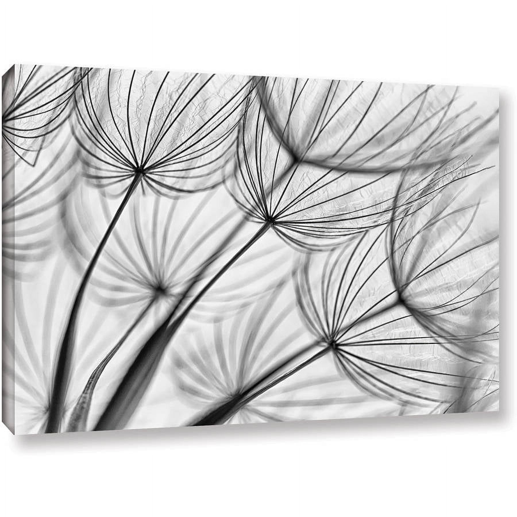 ArtWall Cora Niele "Parachute Seed II" Gallery-Wrapped Canvas