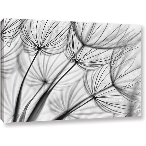 ArtWall Cora Niele "Parachute Seed II" Gallery-Wrapped Canvas