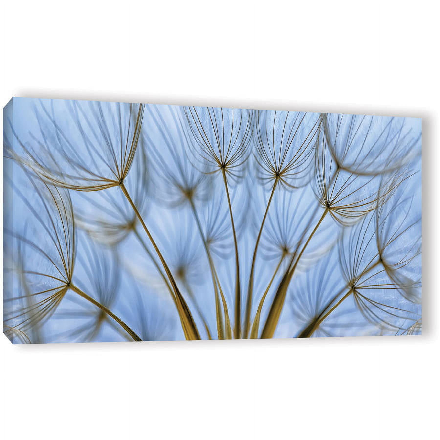 ArtWall Cora Niele "Parachute Seed Panoramic" Gallery-Wrapped Canvas