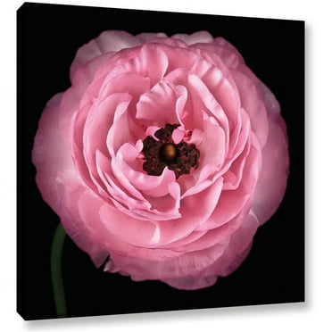 ArtWall Cora Niele "Pink I" Gallery-Wrapped Canvas