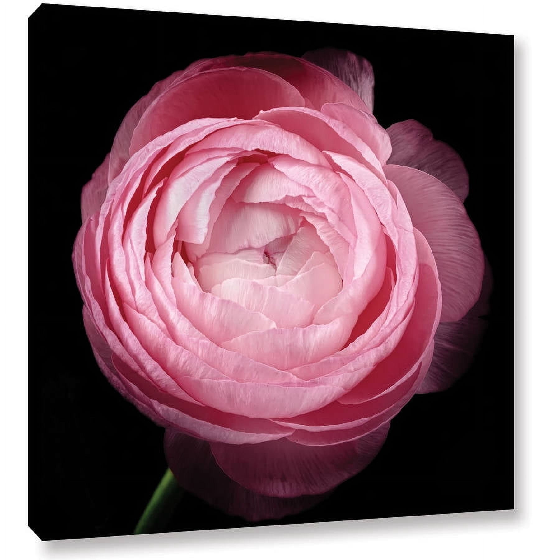 ArtWall Cora Niele "Pink III" Gallery-Wrapped Canvas