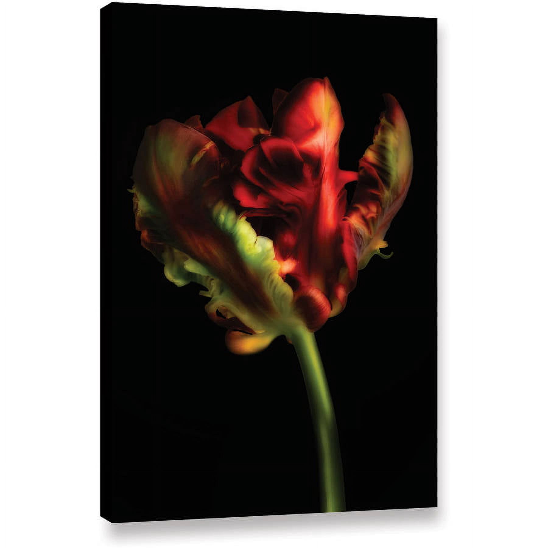 ArtWall Cora Niele "Tulipa Parrot II" Gallery-Wrapped Canvas