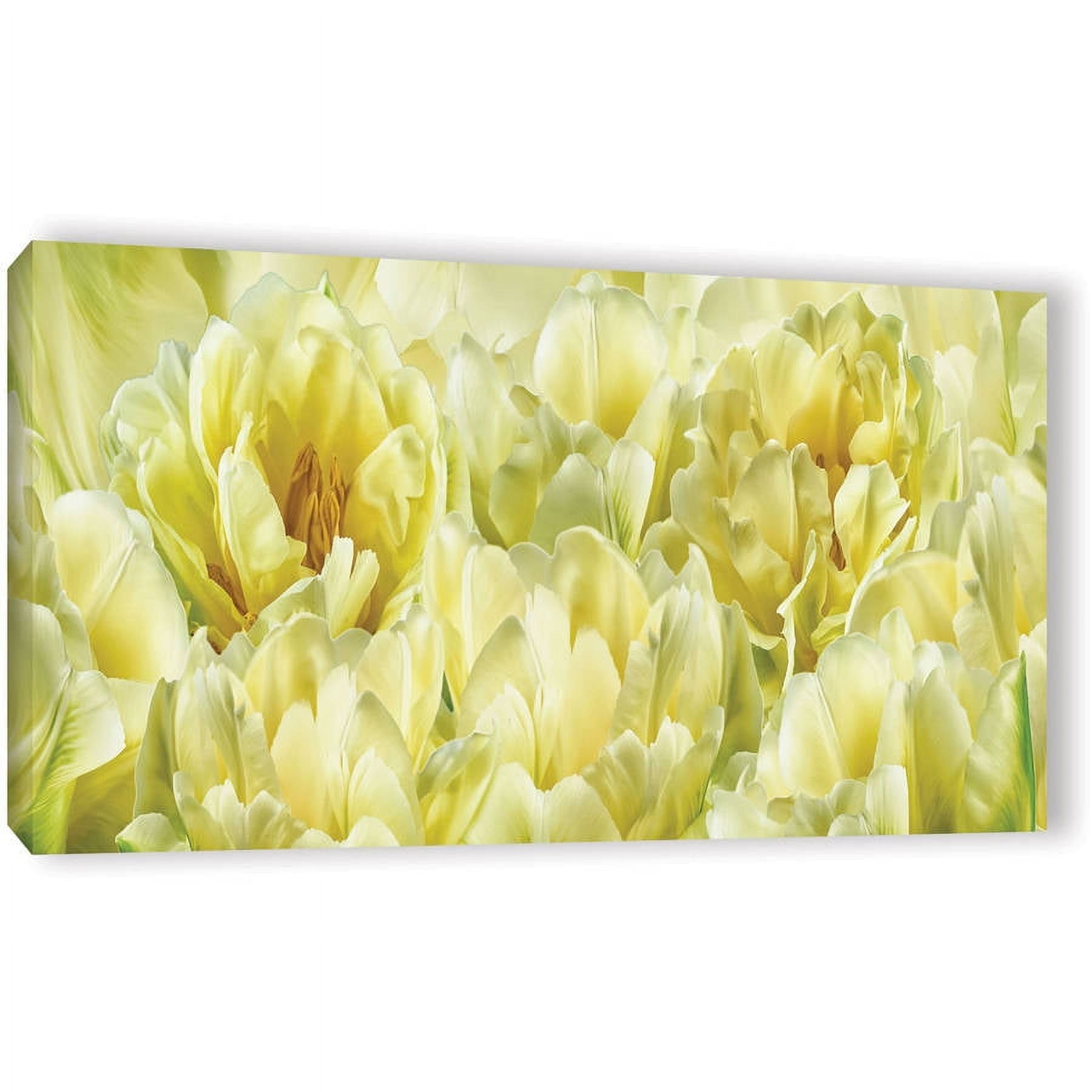 ArtWall Cora Niele "Yellow" Gallery-Wrapped Canvas