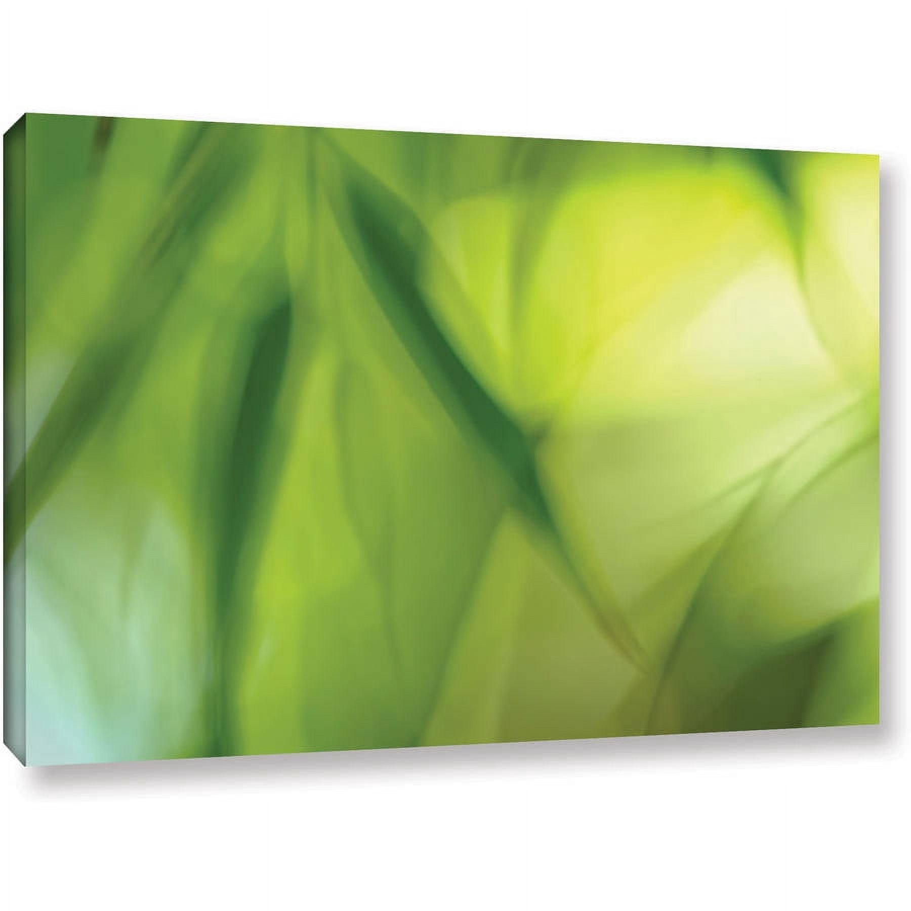 ArtWall Cora Niele "Zen" Gallery-Wrapped Canvas