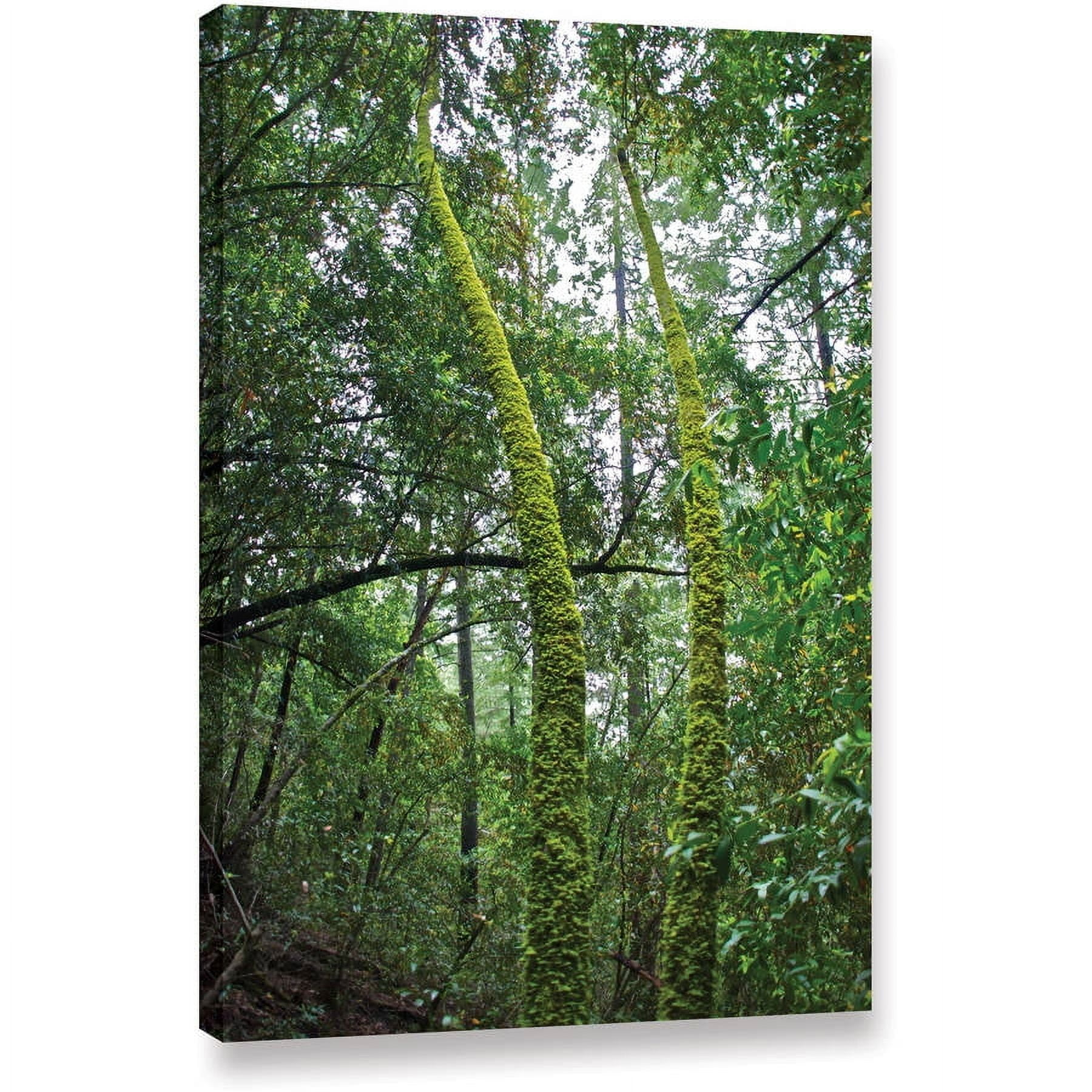 ArtWall Dan Wilson "Green Trees  " Gallery-Wrapped Canvas