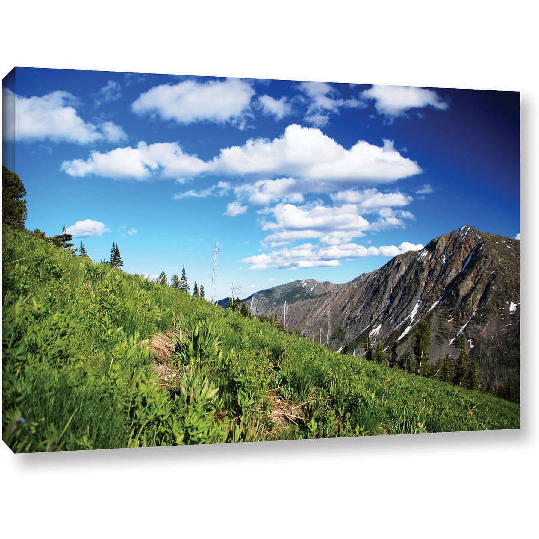ArtWall Dan Wilson "Mountain Meadow  " Gallery-Wrapped Canvas