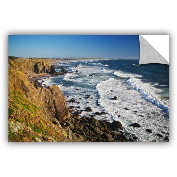 ArtWall Dan Wilson "Sonoma Coast" ArtAppealz Removable Wall Art