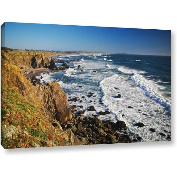 ArtWall Dan Wilson "Sonoma Coast" Gallery-Wrapped Canvas