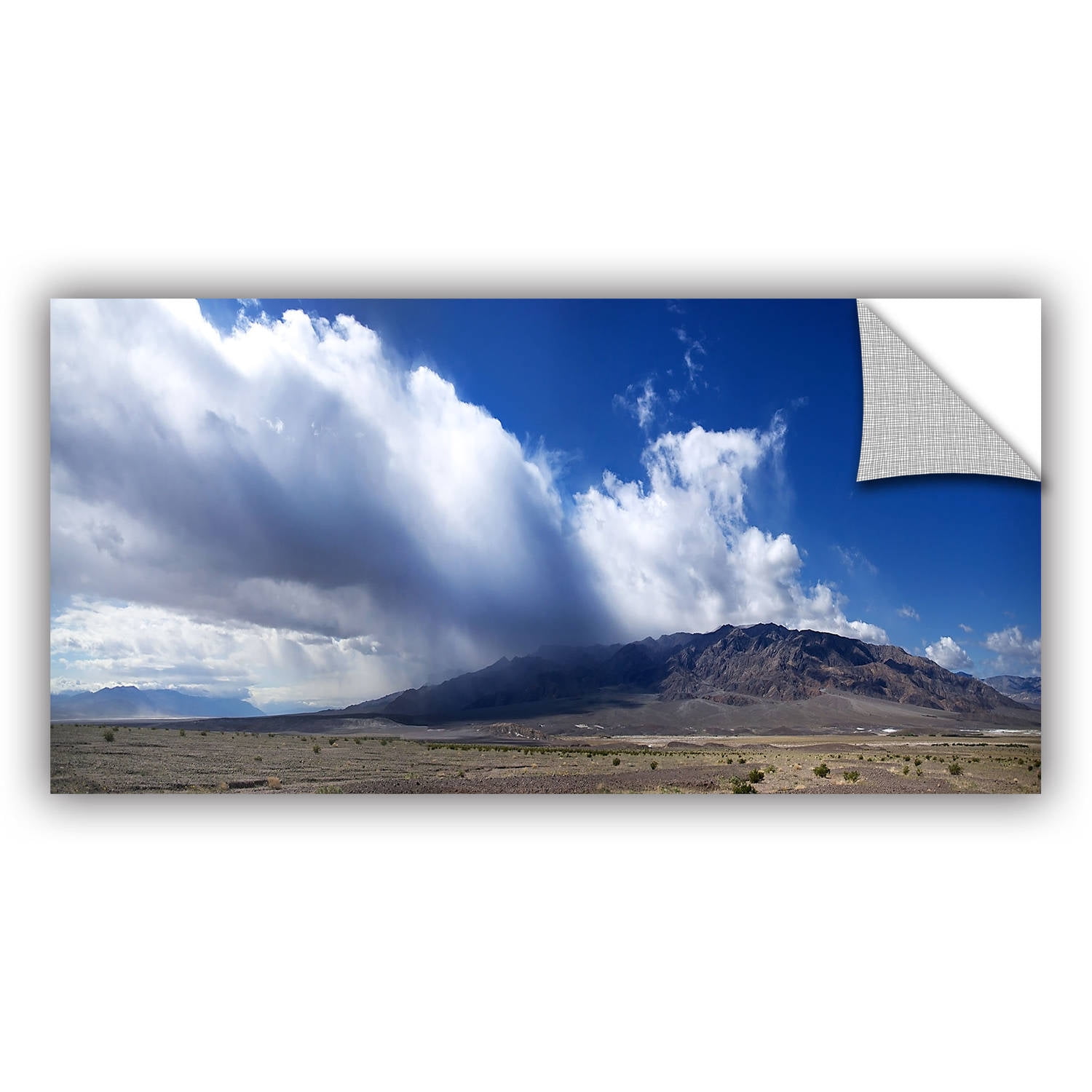 ArtWall Dan Wilson "Storm in Death Valley" ArtAppealz Removable Wall Art