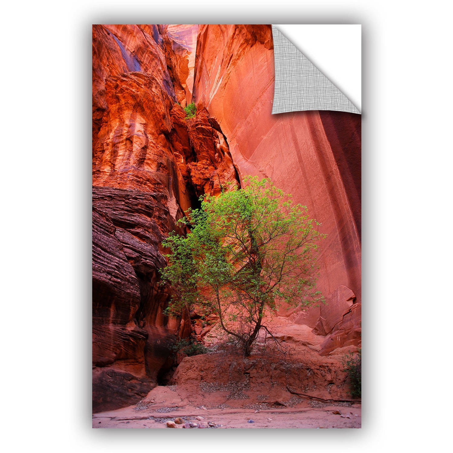 ArtWall Dan Wilson "Utah Green Tree Red Canyon" ArtAppealz Removable Wall Art
