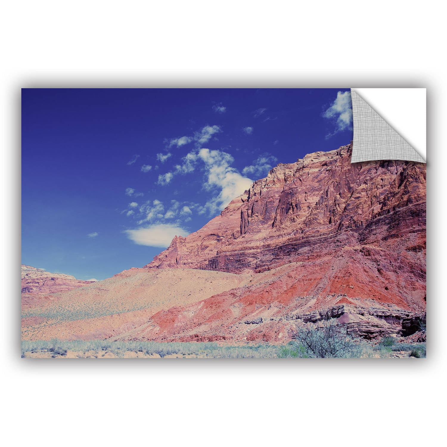 ArtWall Dan Wilson "Utah Paria Canyon" ArtAppealz Removable Wall Art