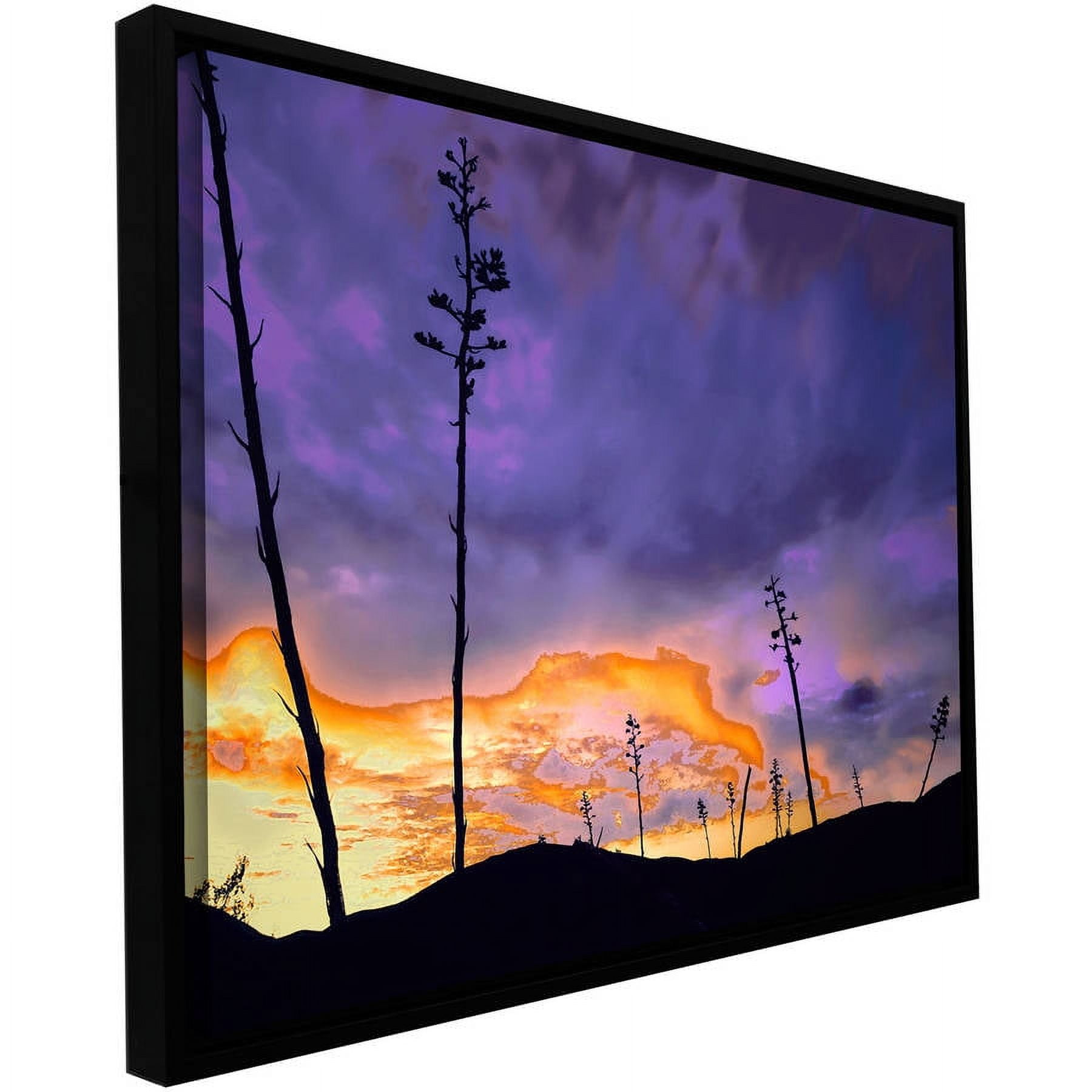 ArtWall Dean Uhlinger "Borrego Desert Dawn" Floater Framed Gallery-Wrapped Canvas