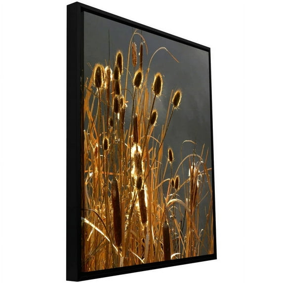 ArtWall Dean Uhlinger "Cattails And Storm Light" Floater Framed Gallery-Wrapped Canvas