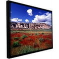 thumbnail image 1 of ArtWall Dean Uhlinger "Dinosaur Colorado" Floater Framed Gallery-Wrapped Canvas, 1 of 2