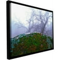 thumbnail image 1 of ArtWall Dean Uhlinger "Domeland Winter" Floater Framed Gallery-Wrapped Canvas, 1 of 2