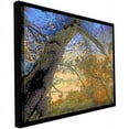 thumbnail image 1 of ArtWall Dean Uhlinger "Eagle Point" Floater Framed Gallery-Wrapped Canvas, 1 of 1
