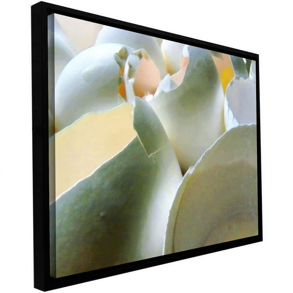 ArtWall Dean Uhlinger "Egg Shells" Floater Framed Gallery-Wrapped Canvas