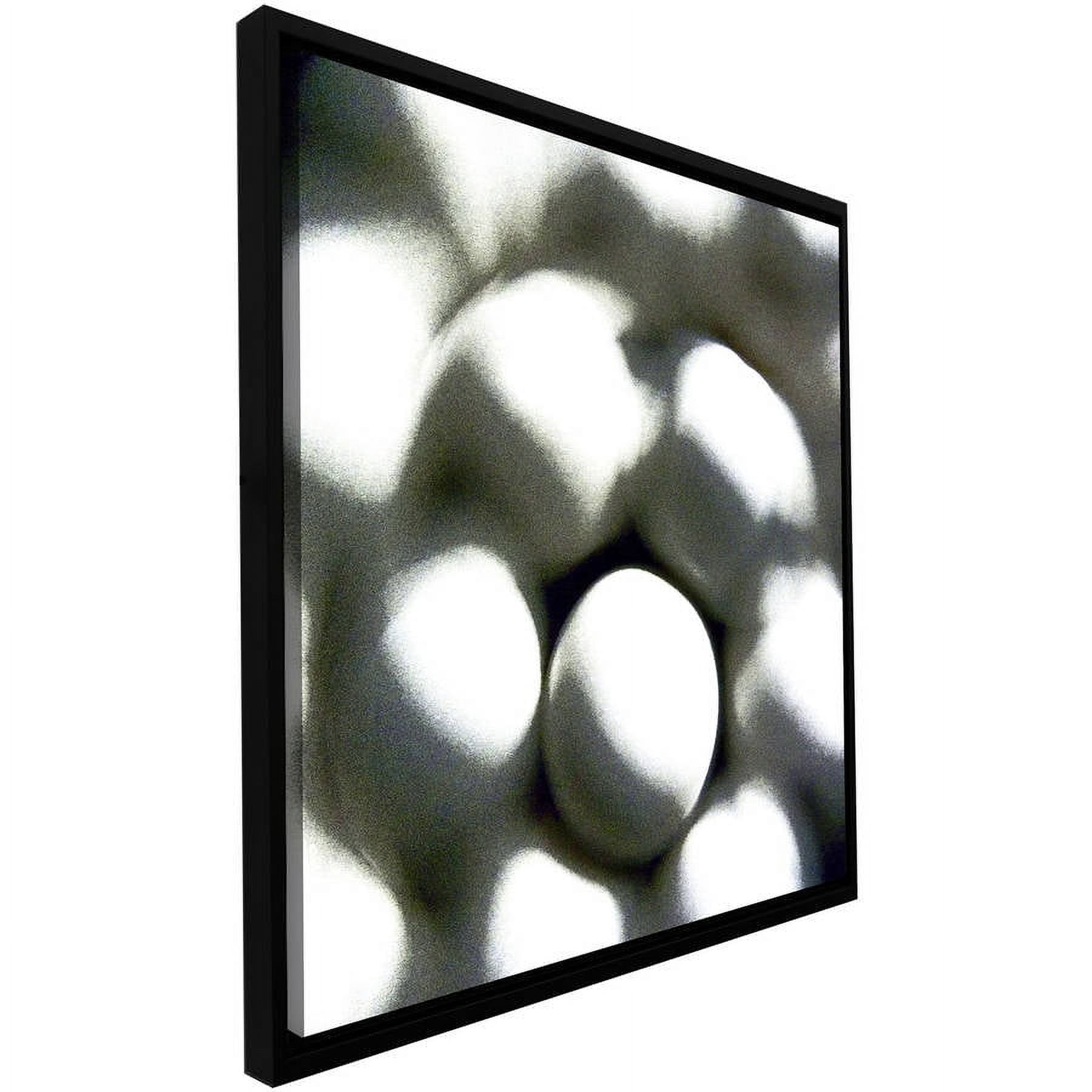 ArtWall Dean Uhlinger "Eggs" Floater Framed Gallery-Wrapped Canvas