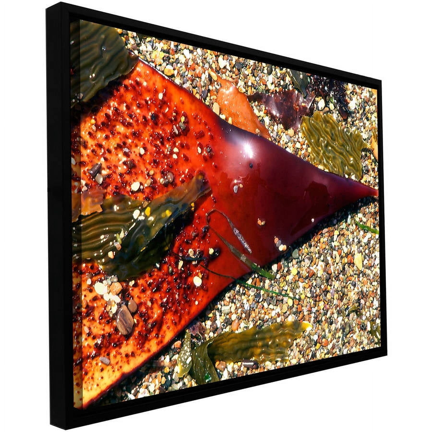 ArtWall Dean Uhlinger "Kelp Detail" Floater Framed Gallery-Wrapped Canvas