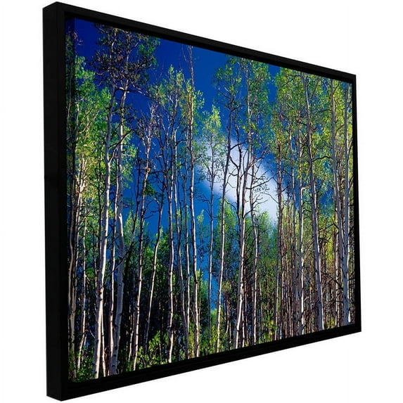ArtWall Dean Uhlinger "Lone Cloud" Floater Framed Gallery-Wrapped Canvas
