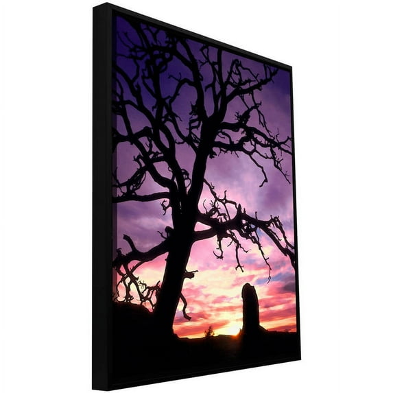 ArtWall Dean Uhlinger "Maze Sunset Canyonlands" Floater Framed Gallery-Wrapped Canvas
