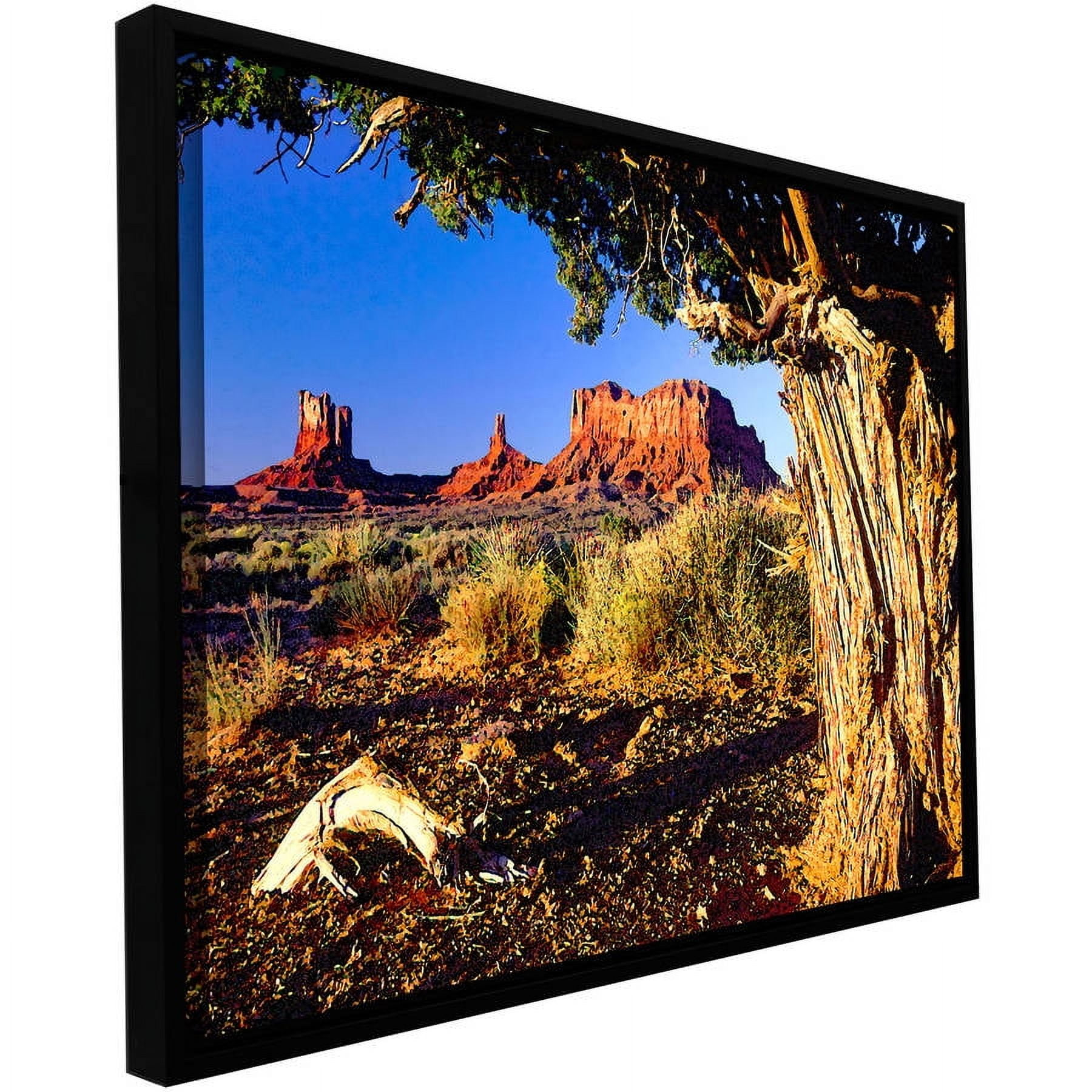 ArtWall Dean Uhlinger "Monument Valley Morn" Floater Framed Gallery-Wrapped Canvas