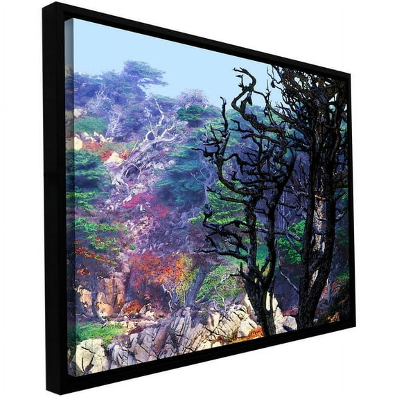 ArtWall Dean Uhlinger "Point Lobos Morning" Floater Framed Gallery-Wrapped Canvas