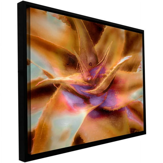 ArtWall Dean Uhlinger "Ranchita" Floater Framed Gallery-Wrapped Canvas