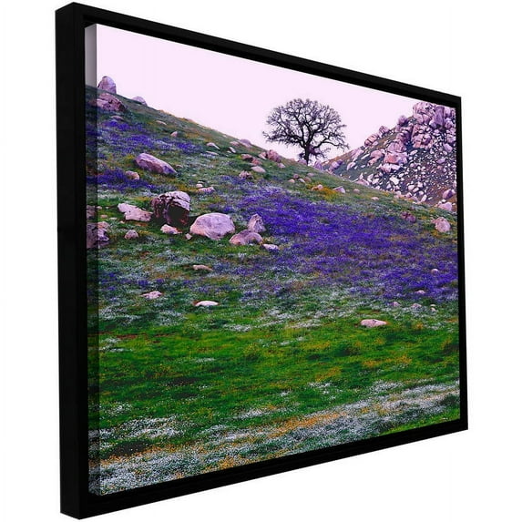 ArtWall Dean Uhlinger "Sierra Foothills Spring" Floater Framed Gallery-Wrapped Canvas