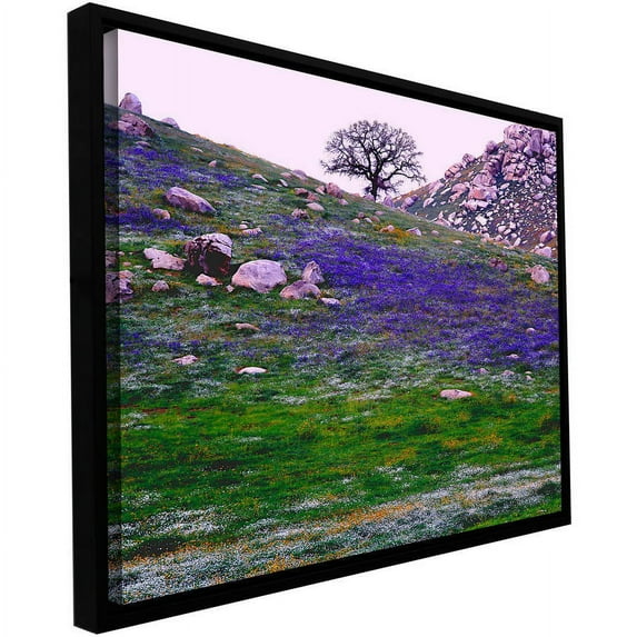 ArtWall Dean Uhlinger "Sierra Foothills Spring" Floater Framed Gallery-Wrapped Canvas