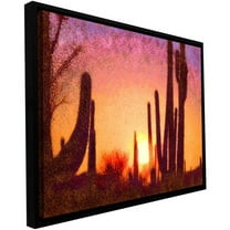 ArtWall Dean Uhlinger "Sonoran Summer" Floater Framed Gallery-Wrapped Canvas