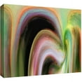 thumbnail image 1 of ArtWall Dean Uhlinger "Suculenta Polar" Gallery-Wrapped Canvas, 1 of 1