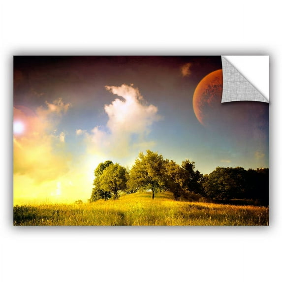 ArtWall Dragos Dumitrascu "Everlasting Season" ArtAppealz Removable Wall Art