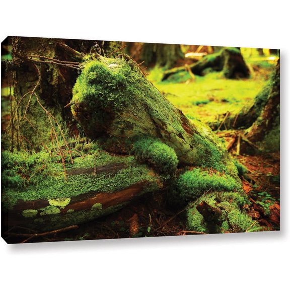 ArtWall Dragos Dumitrascu "Into the Greens" Gallery-Wrapped Canvas