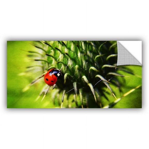 ArtWall Dragos Dumitrascu "Red Explorer" ArtAppealz Removable Wall Art