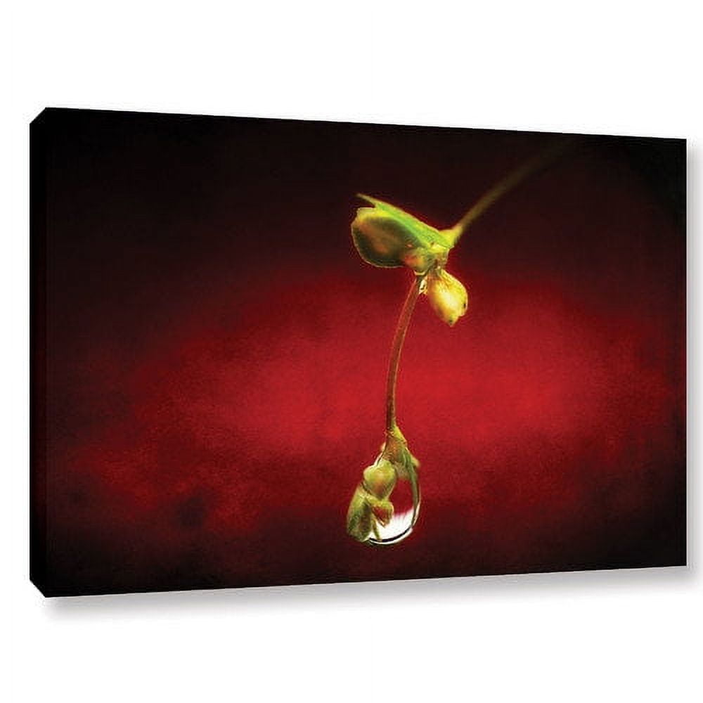 ArtWall Dragos Dumitrascu "Tears in the Rain" Gallery-Wrapped Canvas
