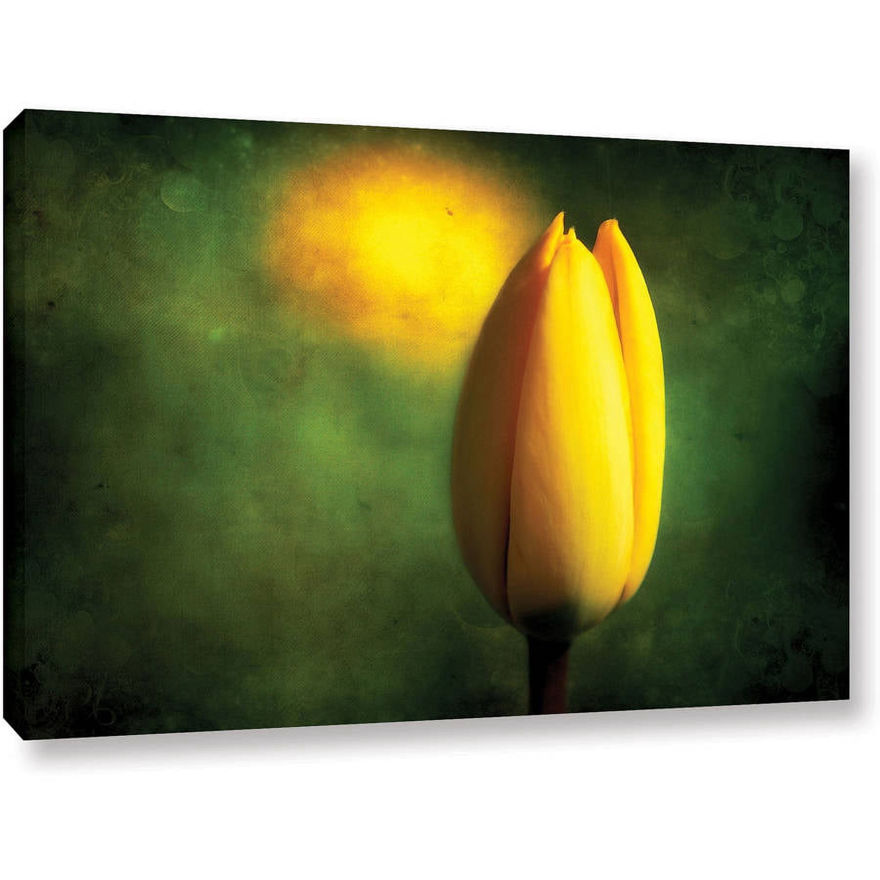 ArtWall Dragos Dumitrascu "The Tulip Hallucinations" Gallery-wrapped Canvas Art