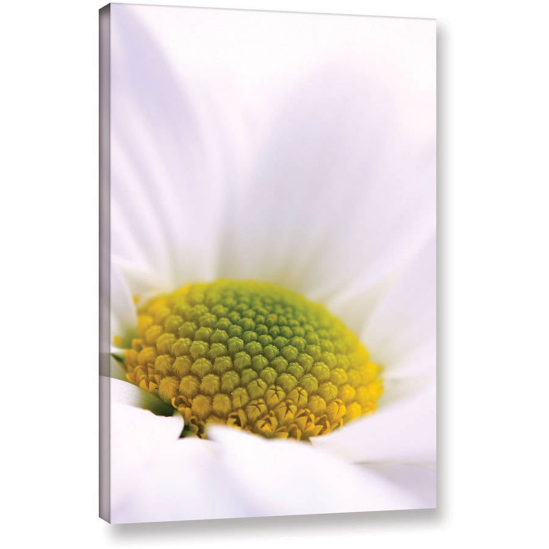 ArtWall Dragos Dumitrascu "The Whisper" Gallery-wrapped Canvas Art