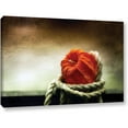 thumbnail image 1 of ArtWall Dragos Dumitrascu "Tied"  Canvas Art, 1 of 1