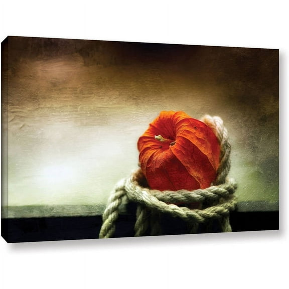 ArtWall Dragos Dumitrascu "Tied"  Canvas Art