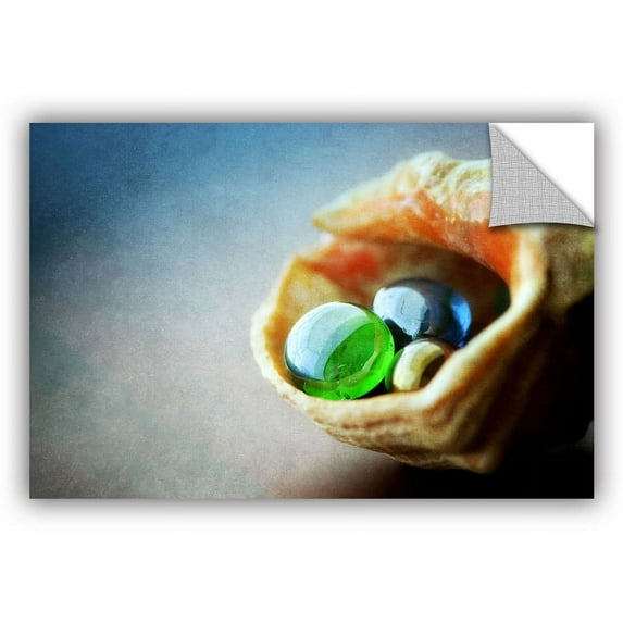 ArtWall Dragos Dumitrascu "Treasures" ArtAppealz Removable Wall Art