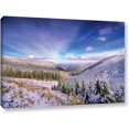 thumbnail image 1 of ArtWall Dragos Dumitrascu "Winter Lands II" Gallery-wrapped Canvas, 1 of 1