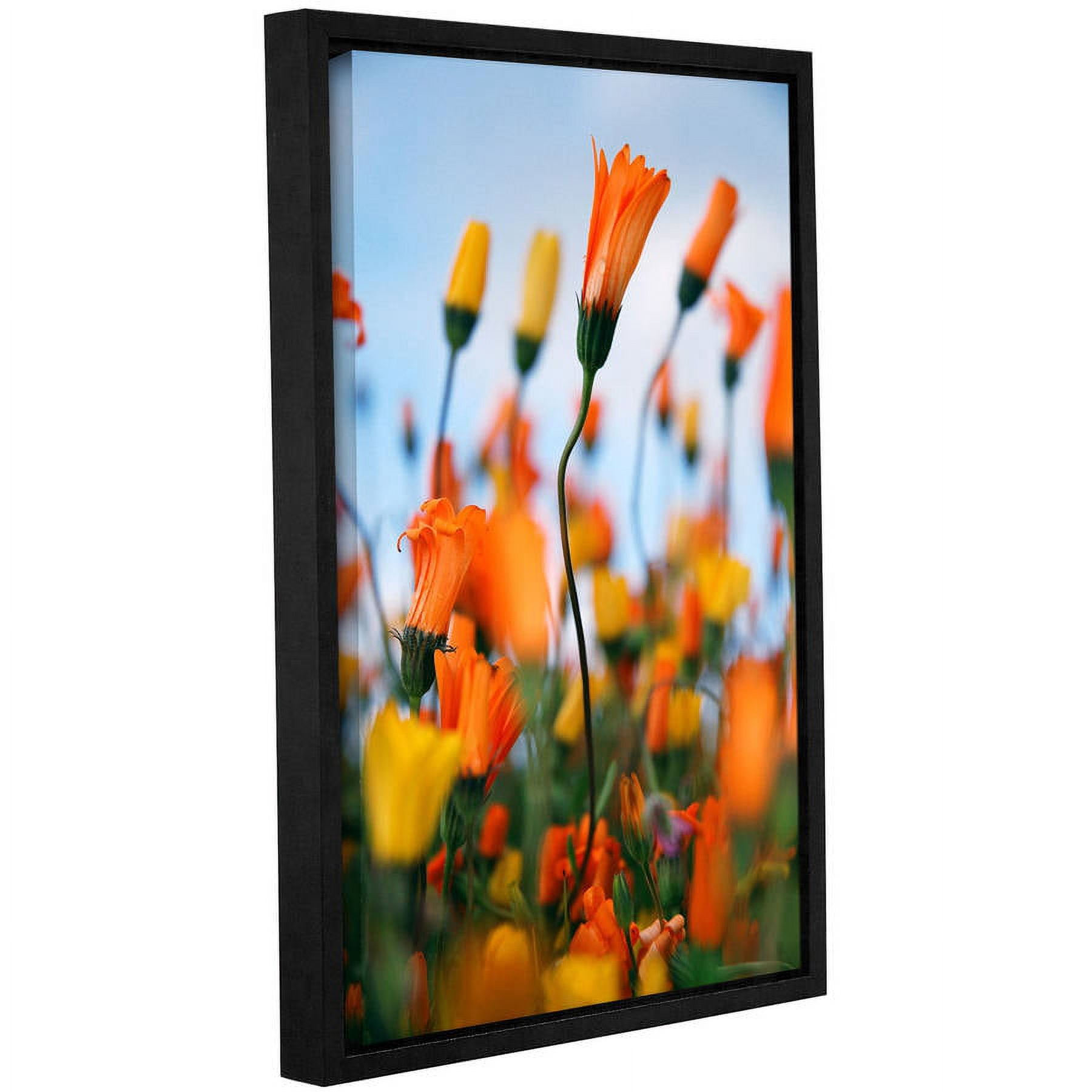 ArtWall Elena Ray "African Daisy 2" Gallery-wrapped Floater-framed Canvas