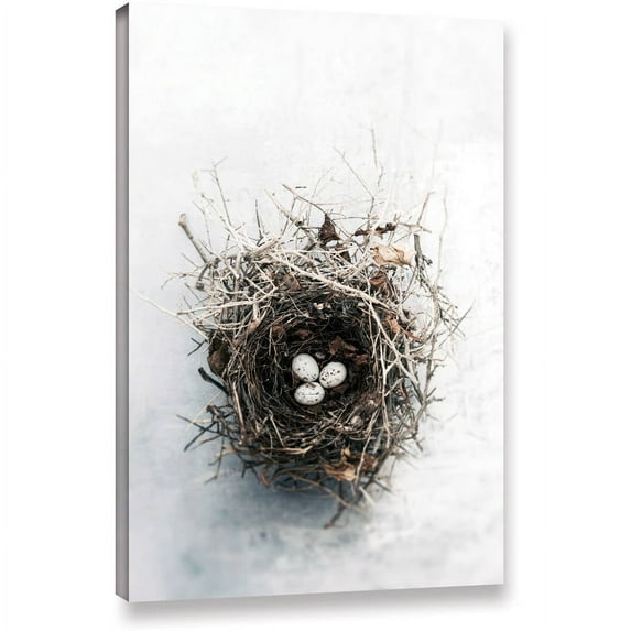 ArtWall Elena Ray "Bird Nest" Gallery-wrapped Canvas
